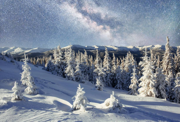 istock Dairy Star Trek in the winter woods 855799698