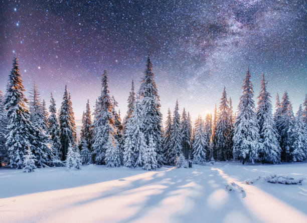 istock Dairy Star Trek in the winter woods 855799770