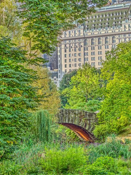 istock Gapstow bridge Central Park, New York City 855800740