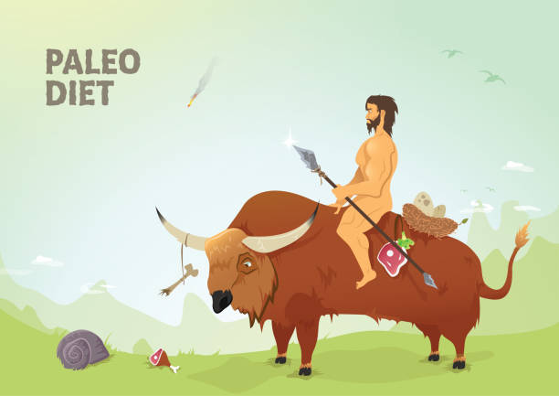 Paleo diet Very quality vector illustration of paleo diet. Caveman riding a buffalo having hunted beef meat. Prehistoric times. paleo stock illustrations