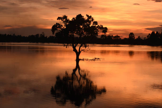 istock Light and shade trees in the evening Reflected on a quiet water surface. In south east asian 855806932