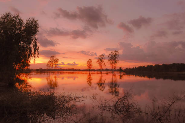 istock Light and shade trees in the evening Reflected on a quiet water surface. In south east asian 855806966