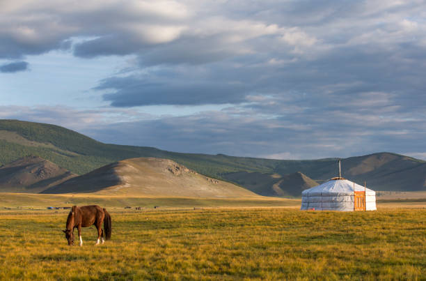 mongolian horses in a landscape of northern mongolia stock photo