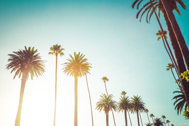 istock California Beverly Hills Luxury Lifestyle 855811522