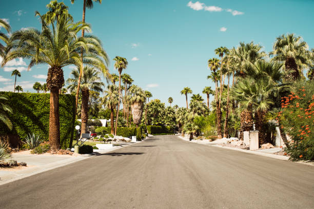 Palm Springs Summers Palm Springs Streets in the Vintage Movie Colony Palm Trees and Mountains and empty road. coachella valley photos stock pictures, royalty-free photos & images