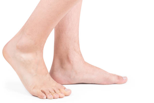 foot - reflexology beauty naked human foot imagens e fotografias de stock