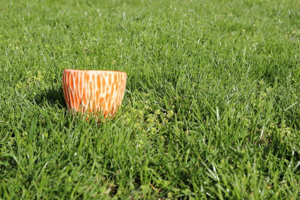 istock Orange ceramic handmade cup bowl of tea on green grass 855819566
