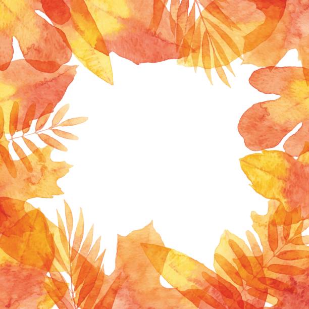 акварель осенние листья кадр - oak leaf leaf maple leaf autumn stock illustrations