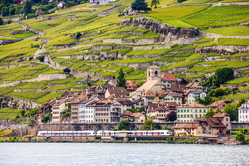 Beautiful Summer landscape of Lake Geneva, Lavaux vineyard terraces and Alps with trains going by, Swiss Riviera, Switzerland, Europe.