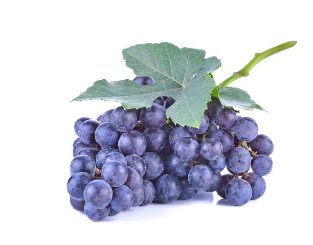 istock Blue grapes dry bunch isolated on white background 855821098