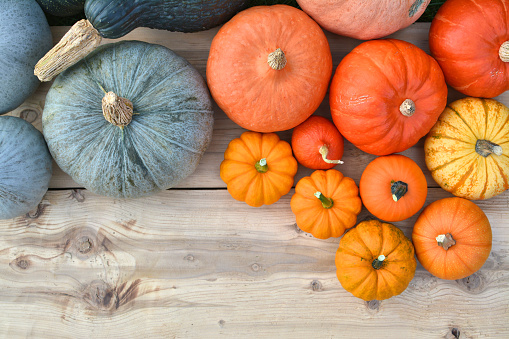 Various colors of pumpkins and squashes on wooden background