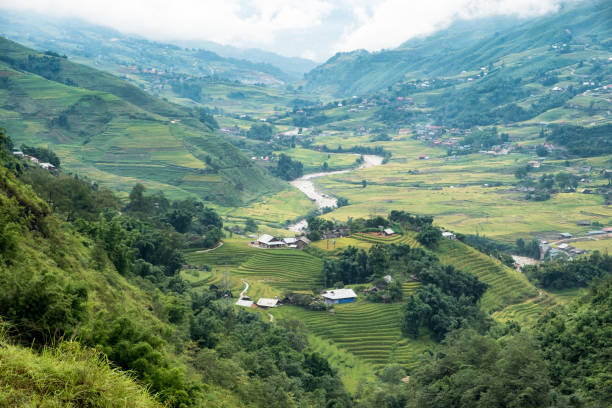 istock Viewpoint of tribe village with rice field terraced in Sapa 855825310