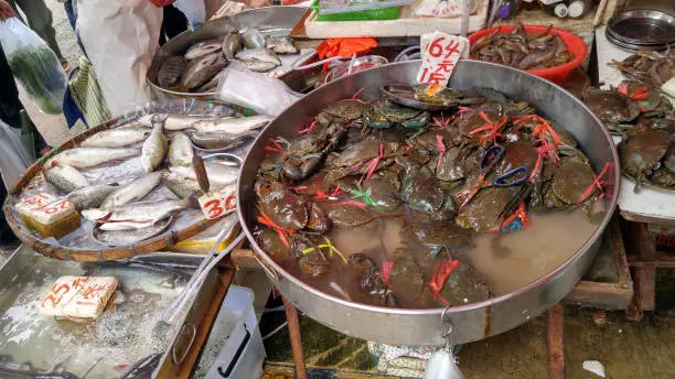 Fresh Seafood sold on the streets in Mongkok, Kong Kong.
