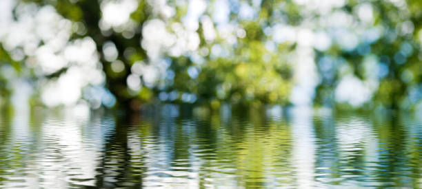 istock water on green blurred background close-up 855828950
