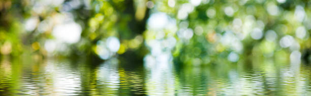 istock water on green blurred background close-up 855828960