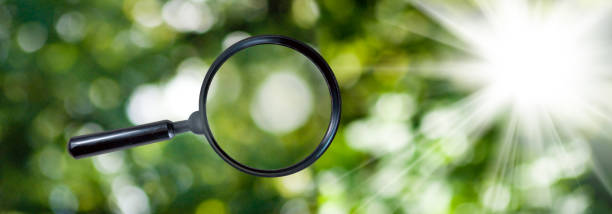 istock magnifying glass on green background closeup 855829546