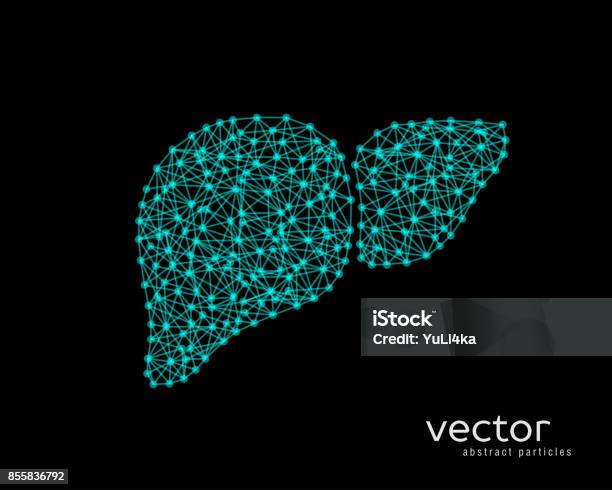 Visual Abstract Liver Abstract Vector Illustration Of Human Liver Stock Illustration ...