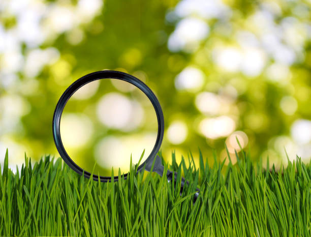 magnifying glass and grass close up