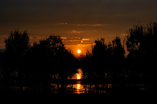 Orange sun reflecting on water while rising up behind dark black silhouette river trees in the early morning sky.
