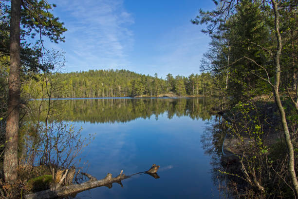 istock Small forest lake in Karelia, Russia. 855844574