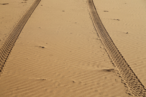 tire imprint of a car wheel in the fine sand desert coastal beach from buggy