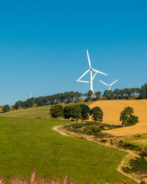 istock Renewable Energy Rural Wind Turbine 855863898