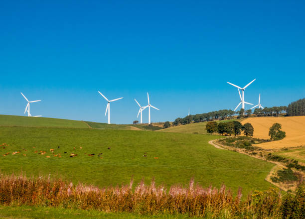 istock Renewable Energy Rural Wind Farm 855864126