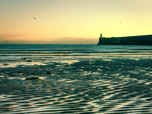 istock Lighthouse at Dusk in North Sea, UK 855867244