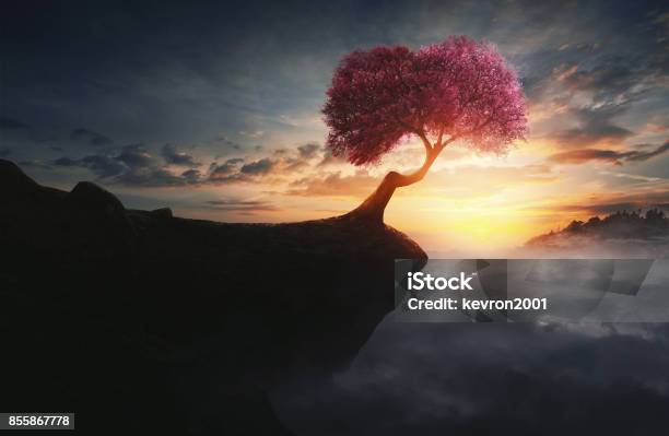 Cherry Tree On A Cliff Stock Photo - Download Image Now - Mountain, Rock - Object, Surreal