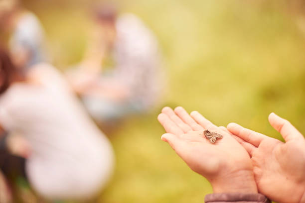 moth on a young girl's hand