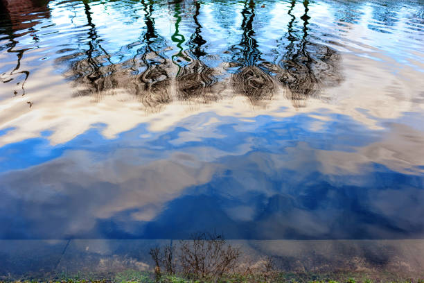 istock Reflection of trees in a city canal 855872824