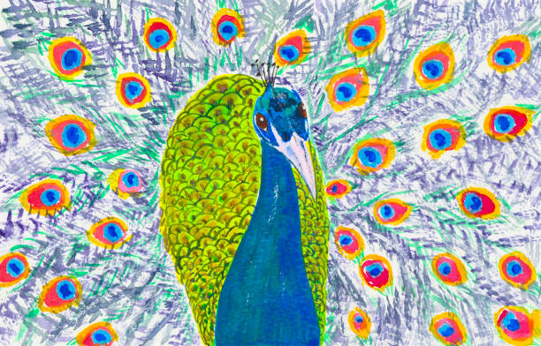 istock Watercolor painting of a colorful peacock. 855875488