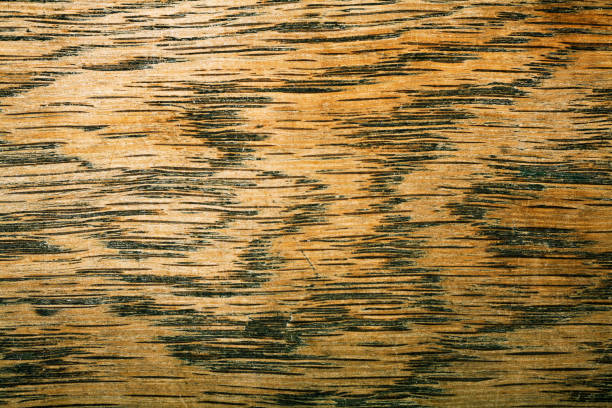 istock wood texture oak, natural desk, detail 855876186