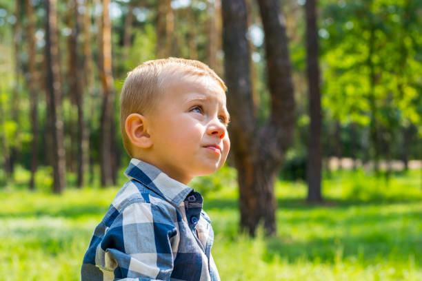 istock A little boy in the park 855886376