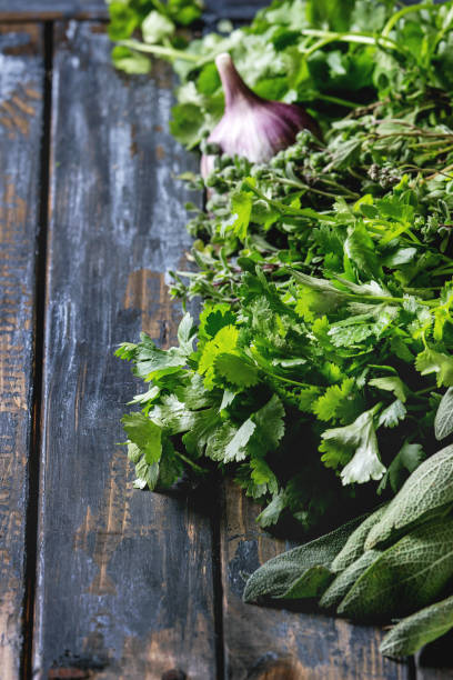 istock Variety of herbs 855887194