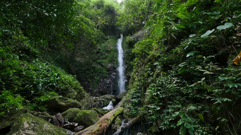 Waterfall in deep forest, Thailand.