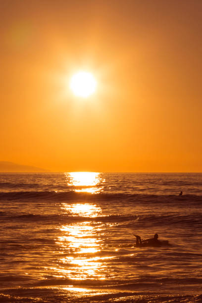istock Surfer paddling in the sea at sunset 855891530