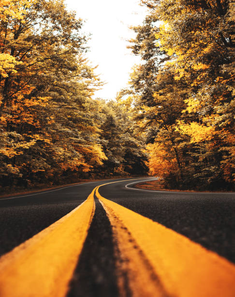 istock Autumnal road in new hampshire 855898918