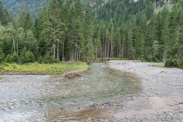 istock Creek in the Lessachtal in Lungau, Austria 855899578