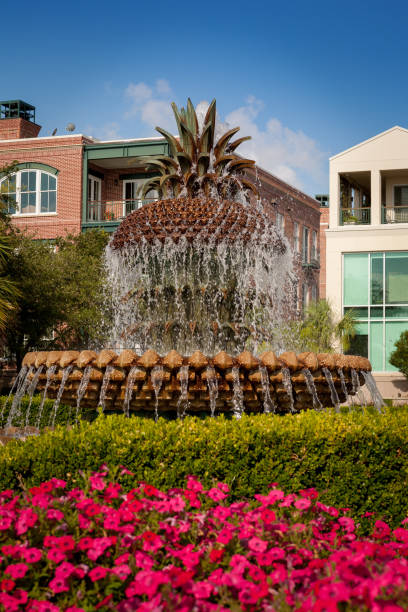 istock Pineapple Fountain with flowers - Charleston, SC 855903002