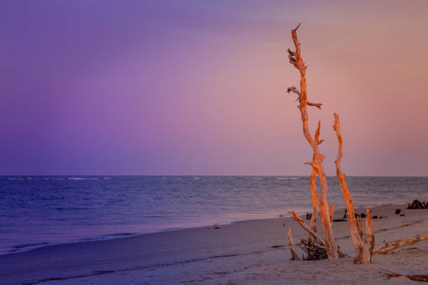 Folly Beach - Charleston, SC - fotografia de stock