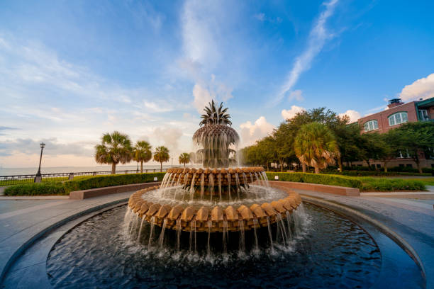 istock Palmetto Fountain - Waterfront Park, Charleston SC 02 855903376