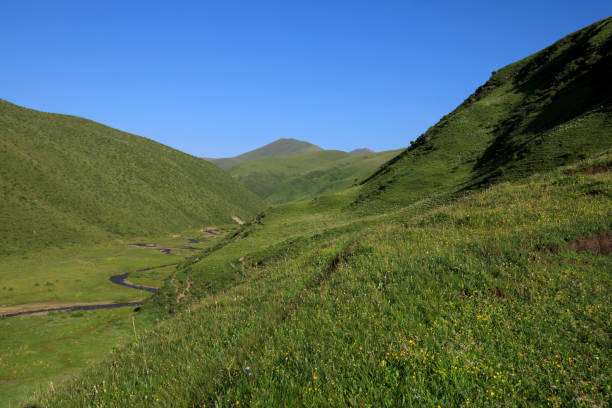 istock Summer mountains green grass and blue sky landscape 855906400