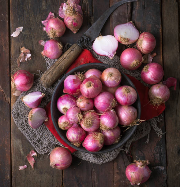 Red Onion stock photo