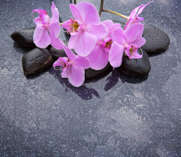 istock Spa stone with orchid flowers 855931750