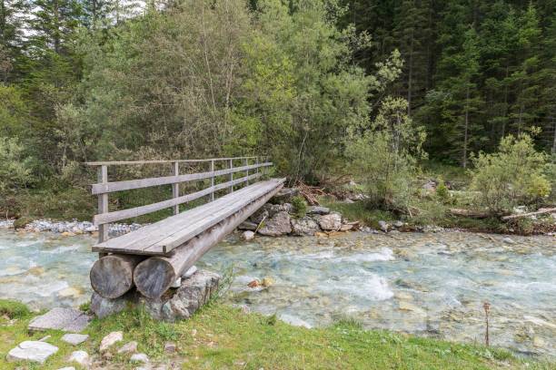 istock Tree trunk bridge over a Creek in the Twengtal in Lungau, Austria 855931880