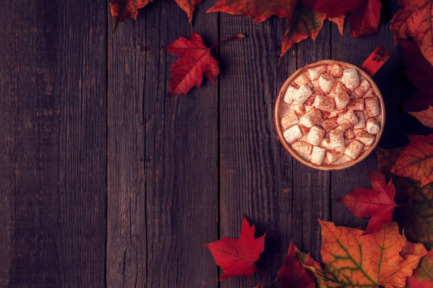istock Autumn background with hot chocolate, knitted scarf, multi-colored leaves. 855935296