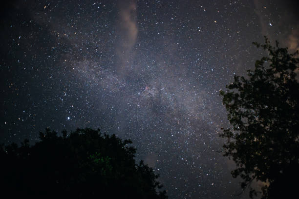 istock A clear night sky with a hill and trees in the foreground 855936572