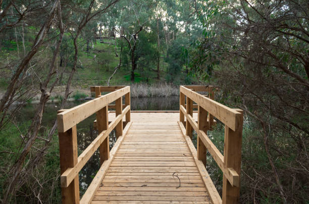 istock Currawong Bush Park in outer suburban Melbourne, Australia 855939618