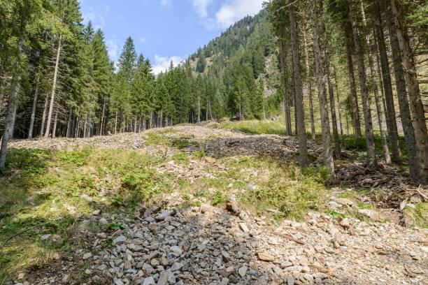istock Mudflow at the Goeriachtal in Lungau, Austria 855939954